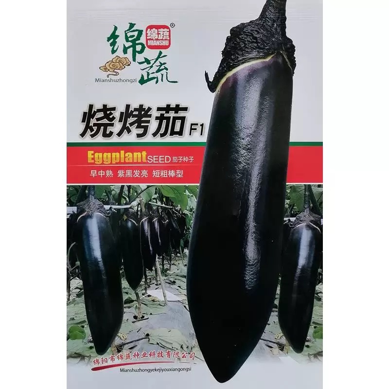 烧烤茄种子一代杂交早中熟紫黑发亮短粗棒型