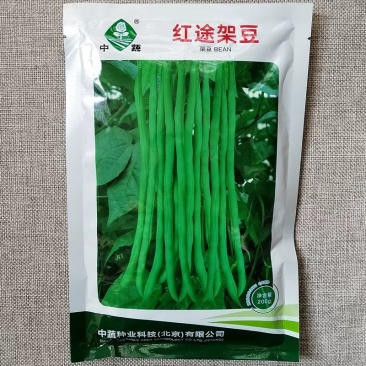 中蔬红途架豆种子豆角无筋豆四季豆种籽嫩荚翠绿口感脆嫩耐热