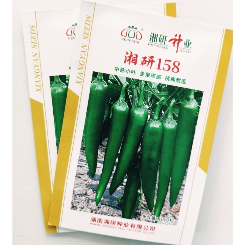 湘研158牛角椒种子辣味中等果皮光滑顺直无皱
