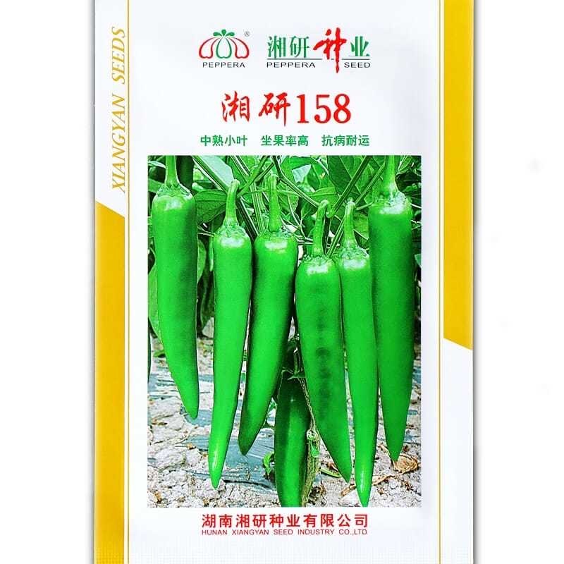 湘研158牛角椒种子辣味中等果皮光滑顺直无皱