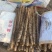 精品小白嘴山药软糯香甜口感好品质优基地直发欢迎电联