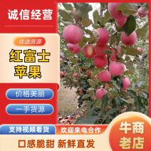 苹果陕西红富士苹果大量供应基地直发对接市场电商