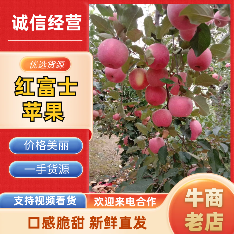 苹果陕西红富士苹果大量供应基地直发对接市场电商