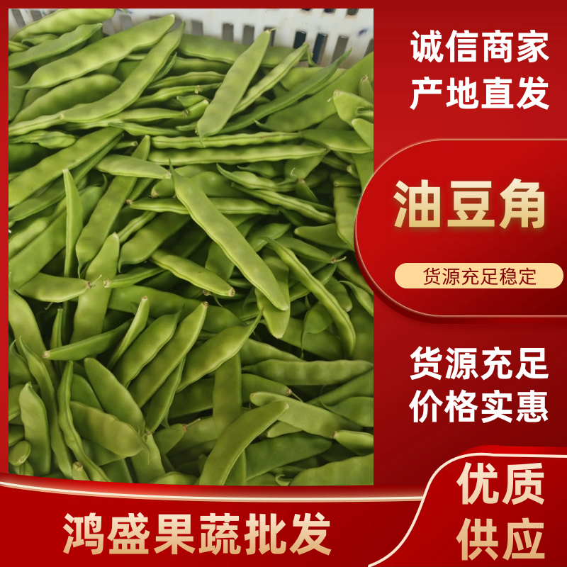 广东油豆角大量现货供应，规格齐全一手货源，可视频看货