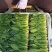 内蒙小叶菠菜/大小叶各种规格都有，产地大量上货