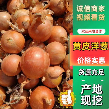 【优选】甘肃洋葱黄皮洋葱对接商超批发市场