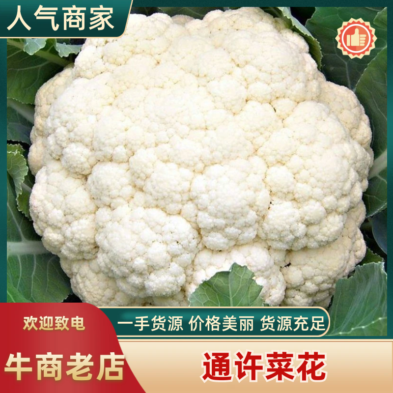 小米粒有机菜花乳白色松花菜精品花菜现摘现发品质新鲜