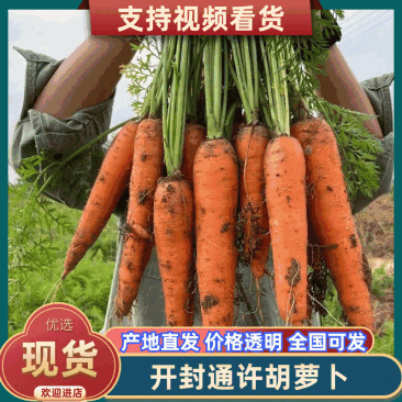 开封胡萝卜/通许水洗胡萝卜/三红胡萝卜/一件批发大甩卖