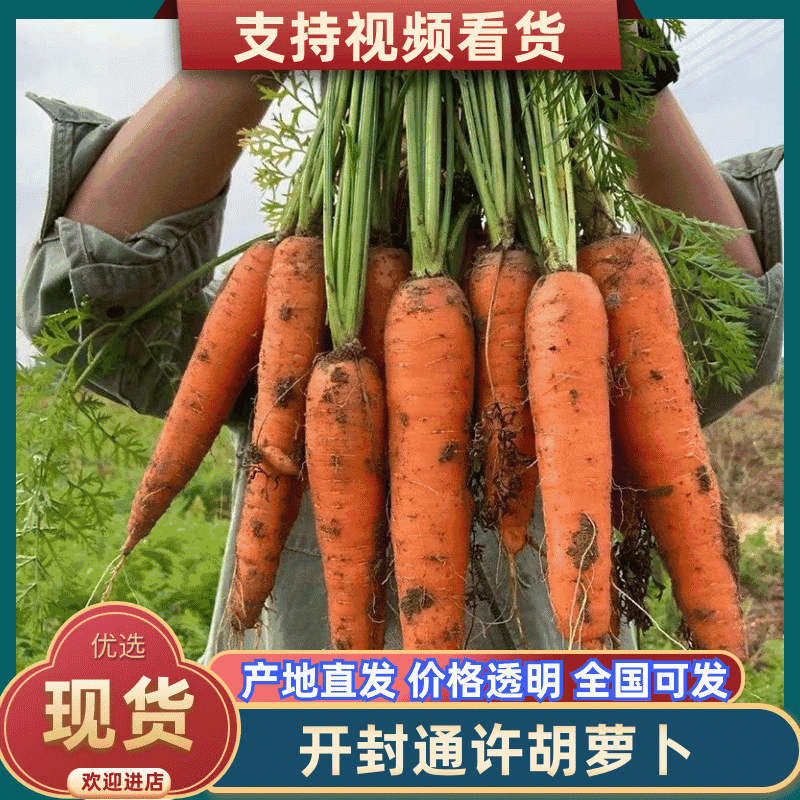 开封胡萝卜/通许水洗胡萝卜/三红胡萝卜/一件批发大甩卖