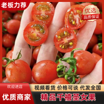 精品千禧圣女果产地发货一手货源批发价格便宜全国发货