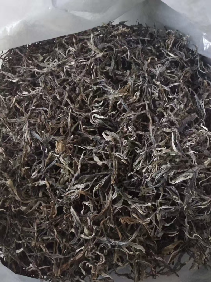 正宗云南古树普洱产地一手货源价格美丽全国可发对接商超