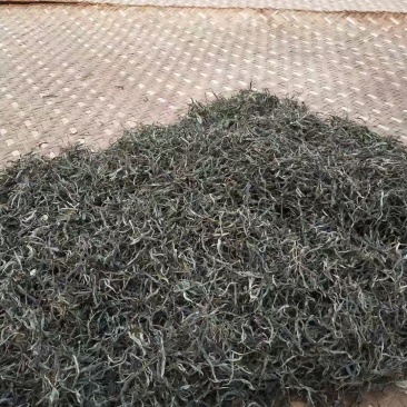 正宗云南古树普洱产地一手货源价格美丽全国可发对接商超