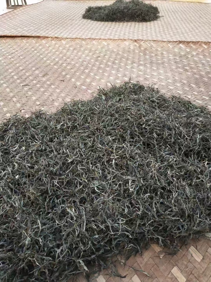 正宗云南古树普洱产地一手货源价格美丽全国可发对接商超