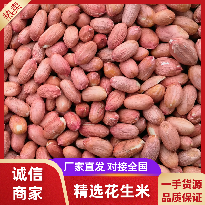 【精选花生】新货现剥批发多种品类常年供应1/3/5斤