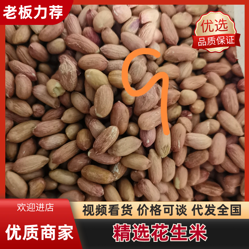 【精选花生】新货现剥批发多种品类常年供应1/3/5斤