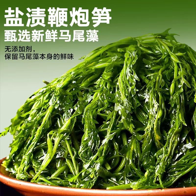 鞭炮笋长寿菜凉拌菜盐渍马尾藻火锅食材