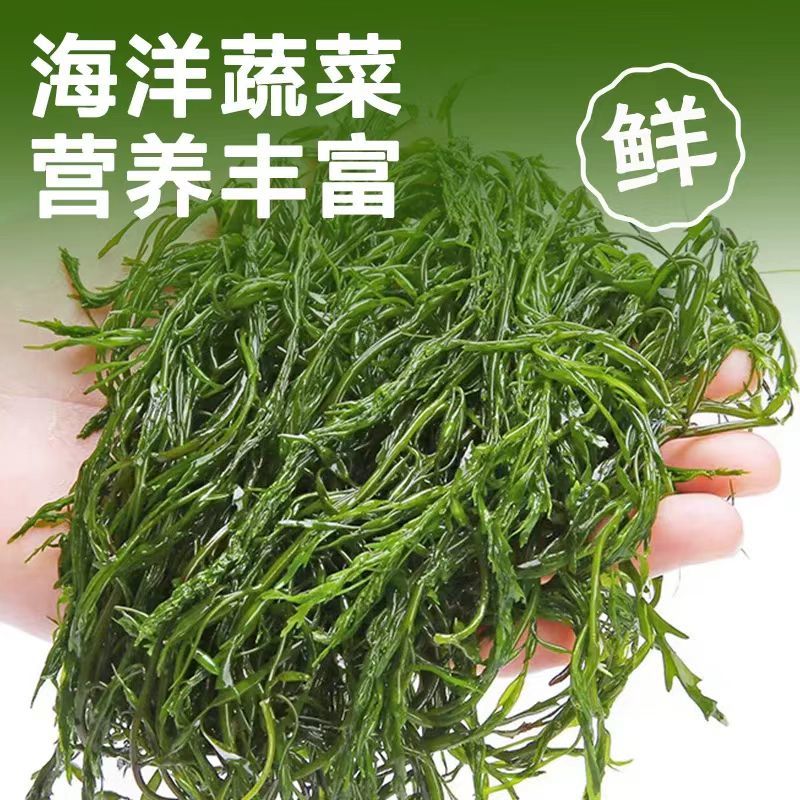 鞭炮笋长寿菜凉拌菜盐渍马尾藻火锅食材