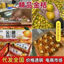金桔融安金桔口感好对接电商市场社区团购等按需包装