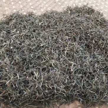云南生态普洱正宗产地一手货源量大从优品质保证