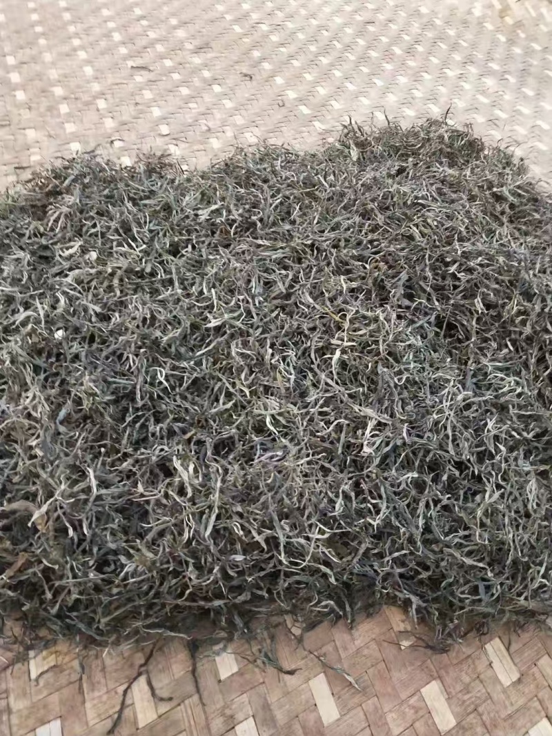 云南生态普洱正宗产地一手货源量大从优品质保证