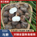 【马蹄】荸荠湖北毛马蹄大量供应品质保证全国发货