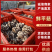 鲜平菇货源充足大量供应品质高货源充足
