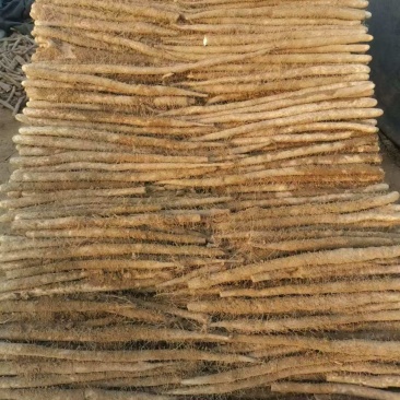 河北邯郸麻山药货源充足对接商超市场欢迎电话联系