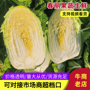 【江苏直发】东台精品黄心白菜产地直发商超平台批发市场对接
