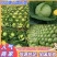 【推荐】河北甘蓝圆包菜一手货源供应市场商超电商量大价优