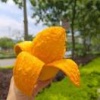 明鹏飞的一亩田店铺