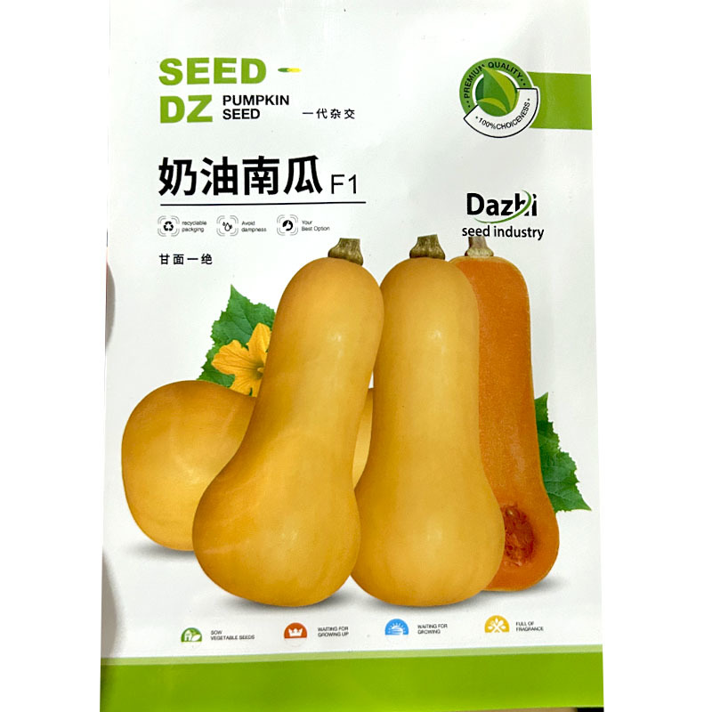 奶油南瓜种子小南瓜南瓜种子糖度高产口感好超甜蜜本烧烤