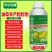 油菜丰产粒粒饱提高出油率促花授粉抗倒伏籽粒饱满油菜专用叶