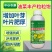 油菜丰产粒粒饱提高出油率促花授粉抗倒伏籽粒饱满油菜专用叶