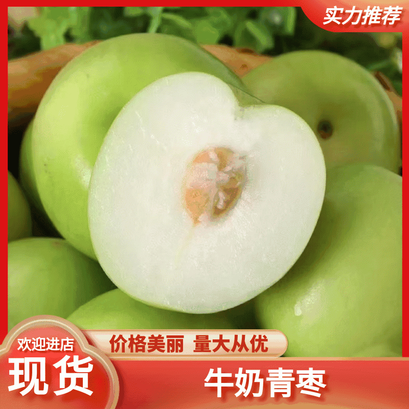 牛奶青枣（广西青枣）一手货源量大价优，可视频看货代发全国
