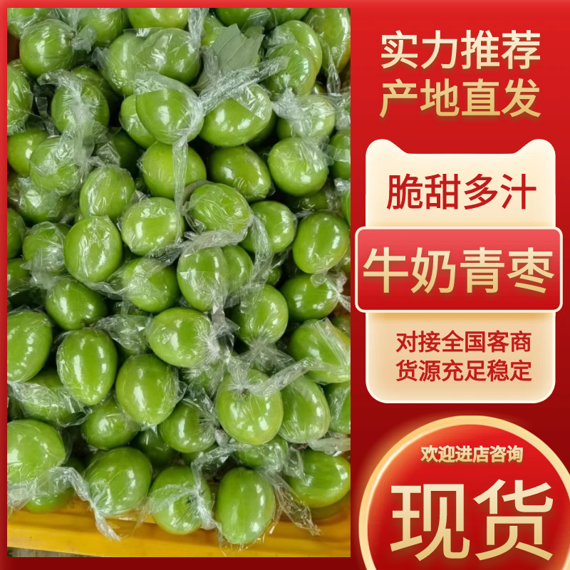 牛奶青枣广西青枣大量现货供应（一手货源）对接全国客商