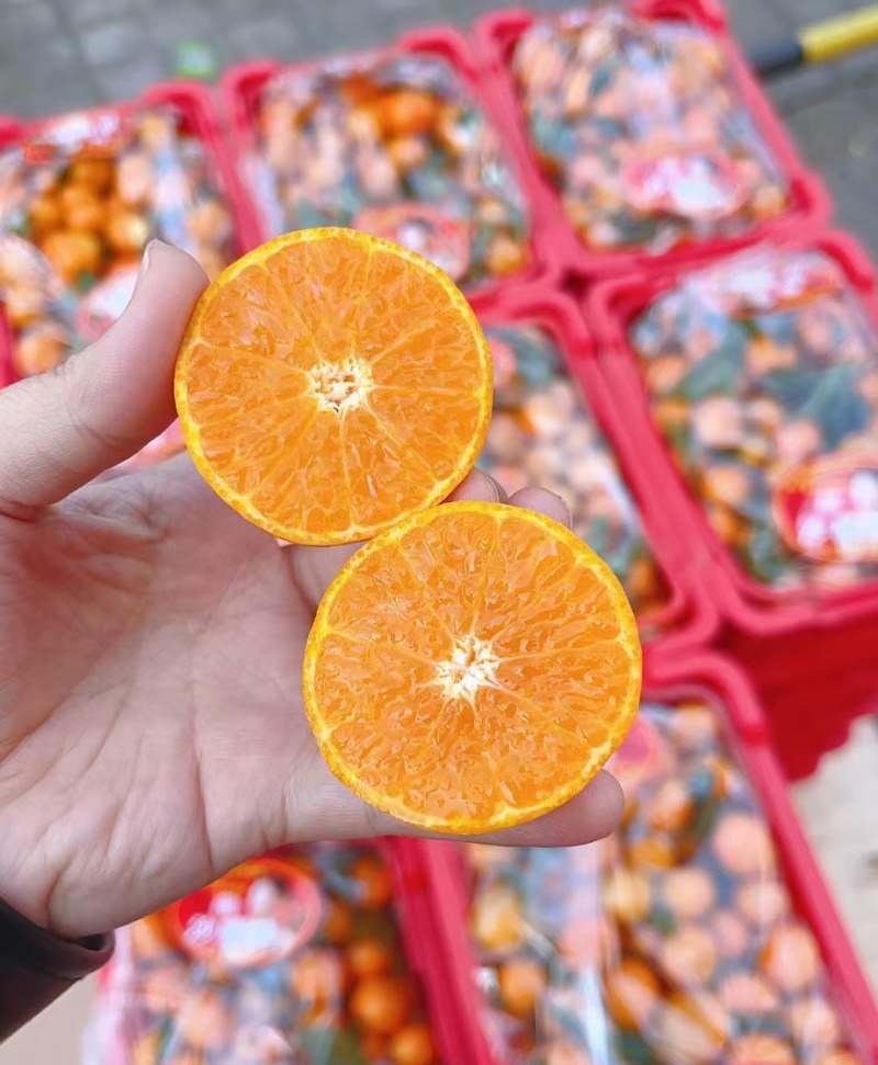 砂糖橘广西沙糖桔糖度高皮薄大量供应全国发货