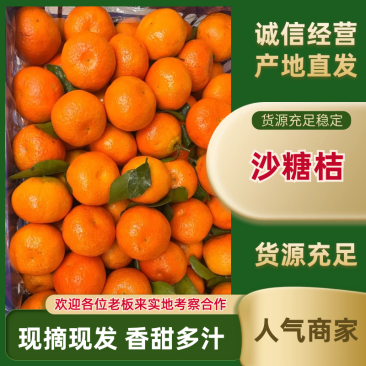 砂糖橘广西沙糖桔糖度高皮薄大量供应全国发货