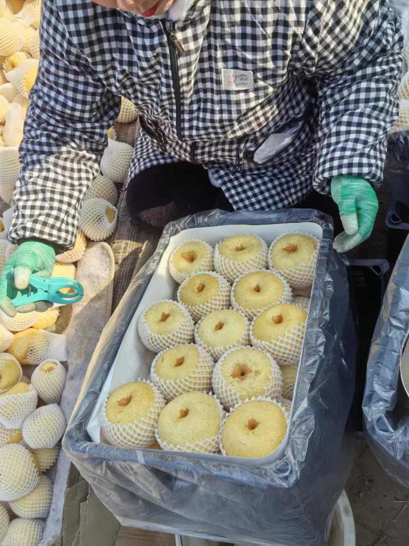 小酥梨产地直发一手货源，电商、商超，欢迎选购实拍图