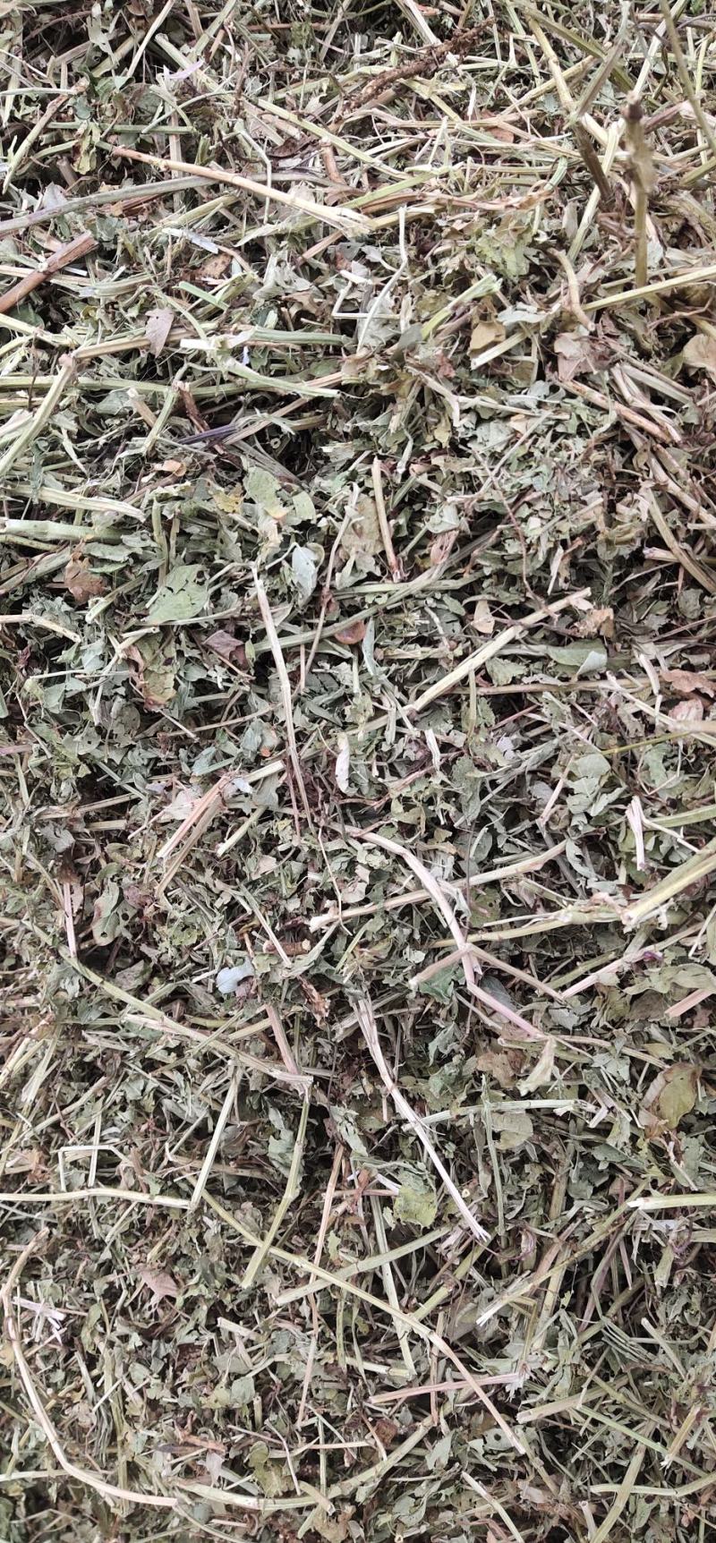 {实力推荐}优质花生秧。量大从优，产地直发。