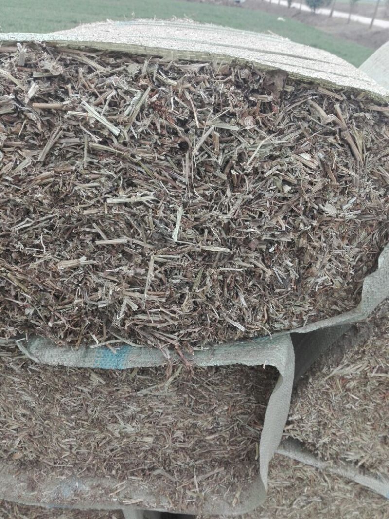 {实力推荐}优质花生秧。量大从优，产地直发。