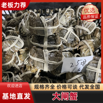 江苏大闸蟹，规格齐全，质量保证，售后保证