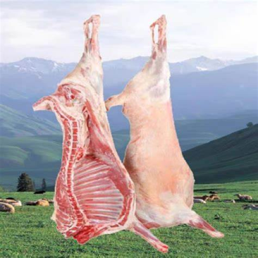 精品白条羊肉,草原牧场养殖,品质保证,环境好,品质保证