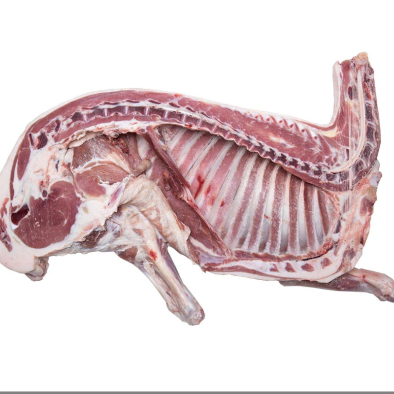 精品白条羊肉，草原牧场养殖，品质保证，环境好，品质保证