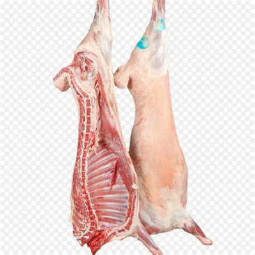 内蒙古白条羊,蒙古草原养殖,肉质细腻,品质保证,价格优惠