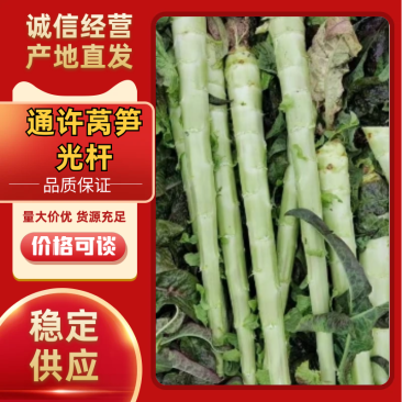 通许莴笋红叶莴笋光杆无空心裂口一手货源品质保证欢迎来电咨