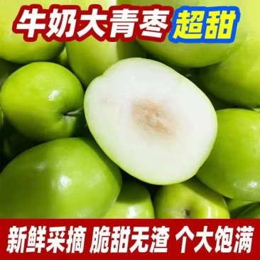 广东青枣牛奶枣产地直发好吃不贵价格美丽量大价优对接全国