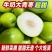 广东青枣牛奶枣产地直发好吃不贵价格美丽量大价优对接全国