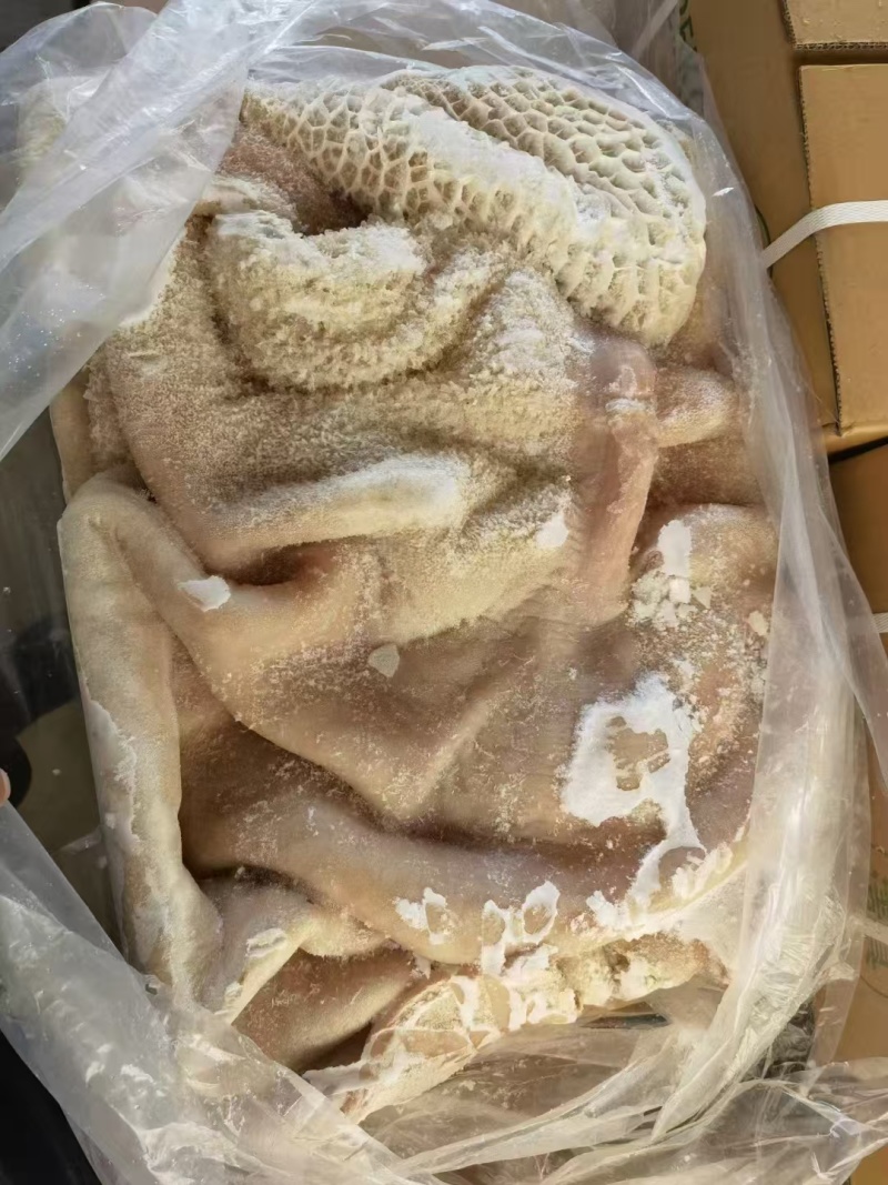 水退半成品全牛肚，全国发货，量大从优，诚信经营，欢迎来电