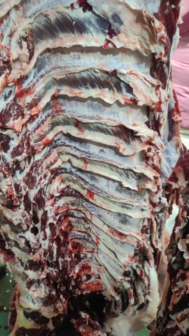 纯干精品黄牛肉，一手货源，品质保证，量大从优，可视频看货