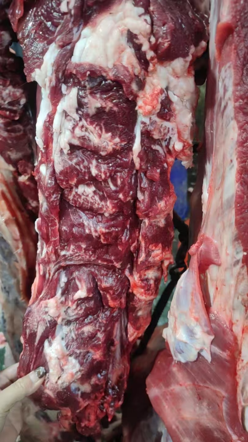 纯干精品黄牛肉，一手货源，品质保证，量大从优，可视频看货